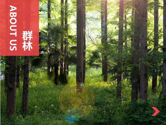 什么叫刨花板？